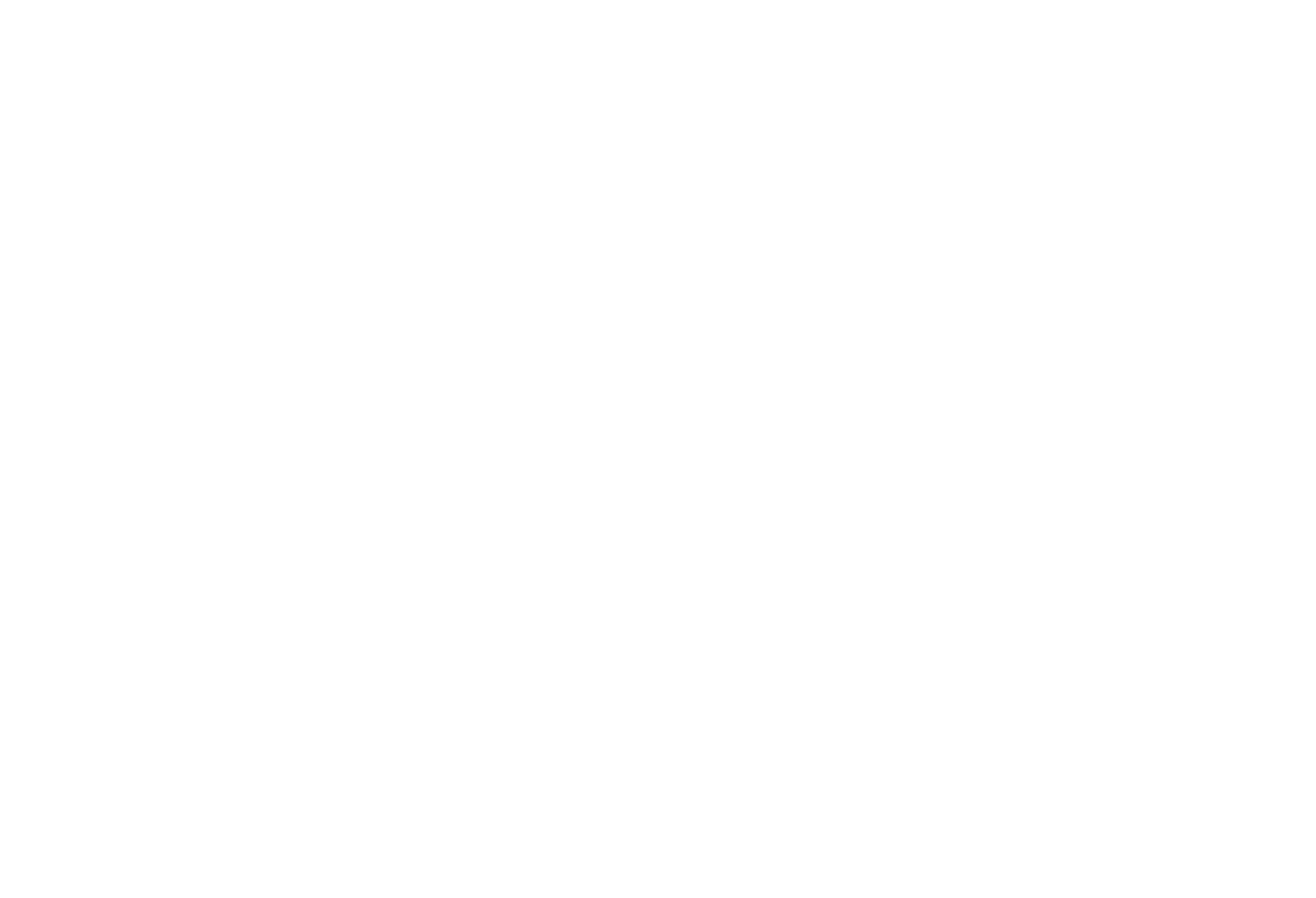 logo light